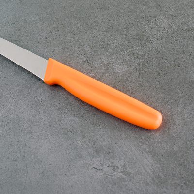 Aryıldız Düz Ağız Meyve Bıçağı Turuncu 8 cm - 2