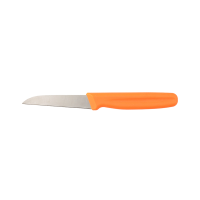 Aryıldız Düz Ağız Meyve Bıçağı Turuncu 8 cm - 5