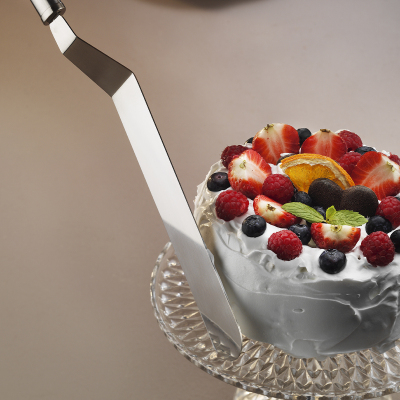 Aryıldız Protools Servis Spatula 23 cm - 2