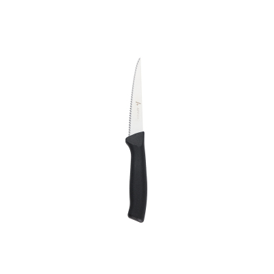 Aryıldız Rexa Tırtıklı Sebze Bıçak Siyah 10 cm - 7