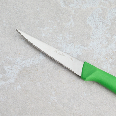 Aryıldız Rexa Tırtıklı Sebze Bıçak Yeşil 10 cm - 4